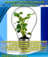 CURSO VALORES PROFESIONALES EMPRESARIALES